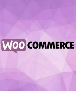 Woocommerce Salencia Agence Web