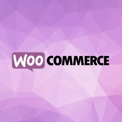 Woocommerce Salencia Agence Web