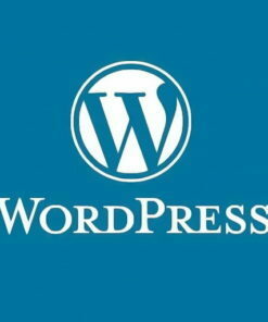 Wordpress Salencia